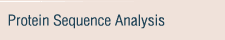 Protein Sequence Analysis